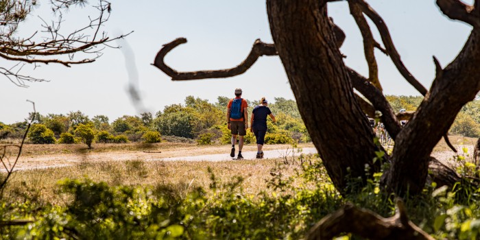 Noordhollands Duinreservaat Egmond02