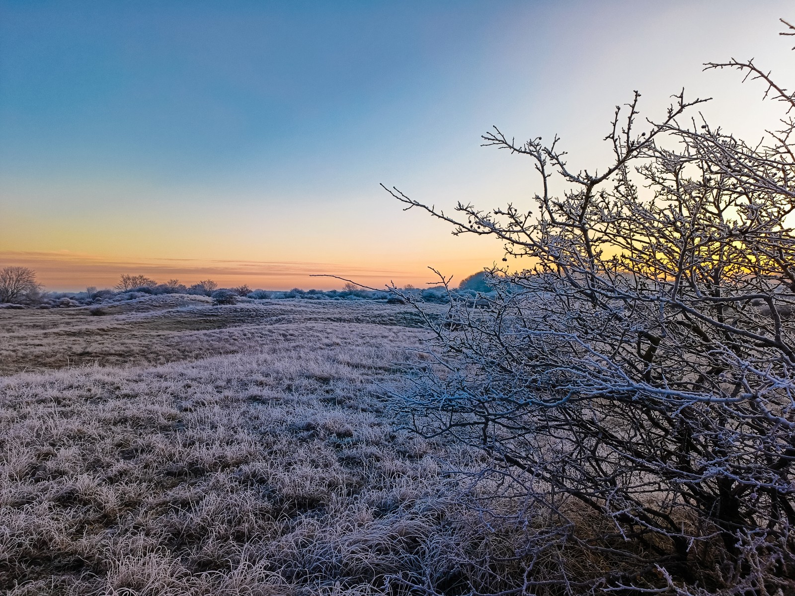 Winter duinen in Egmond aan Zee