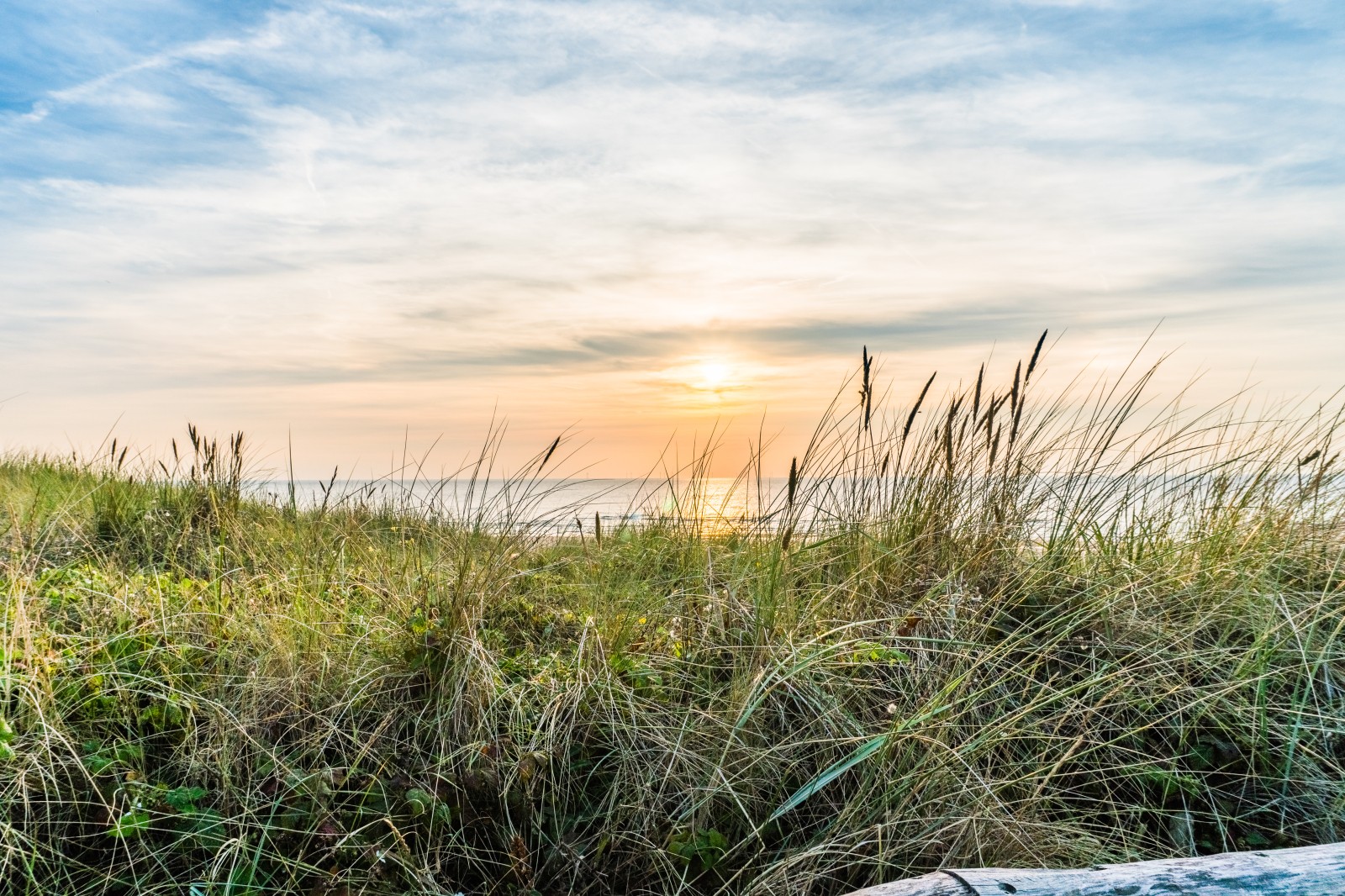 Hotel in Egmond - Strand duinen zon