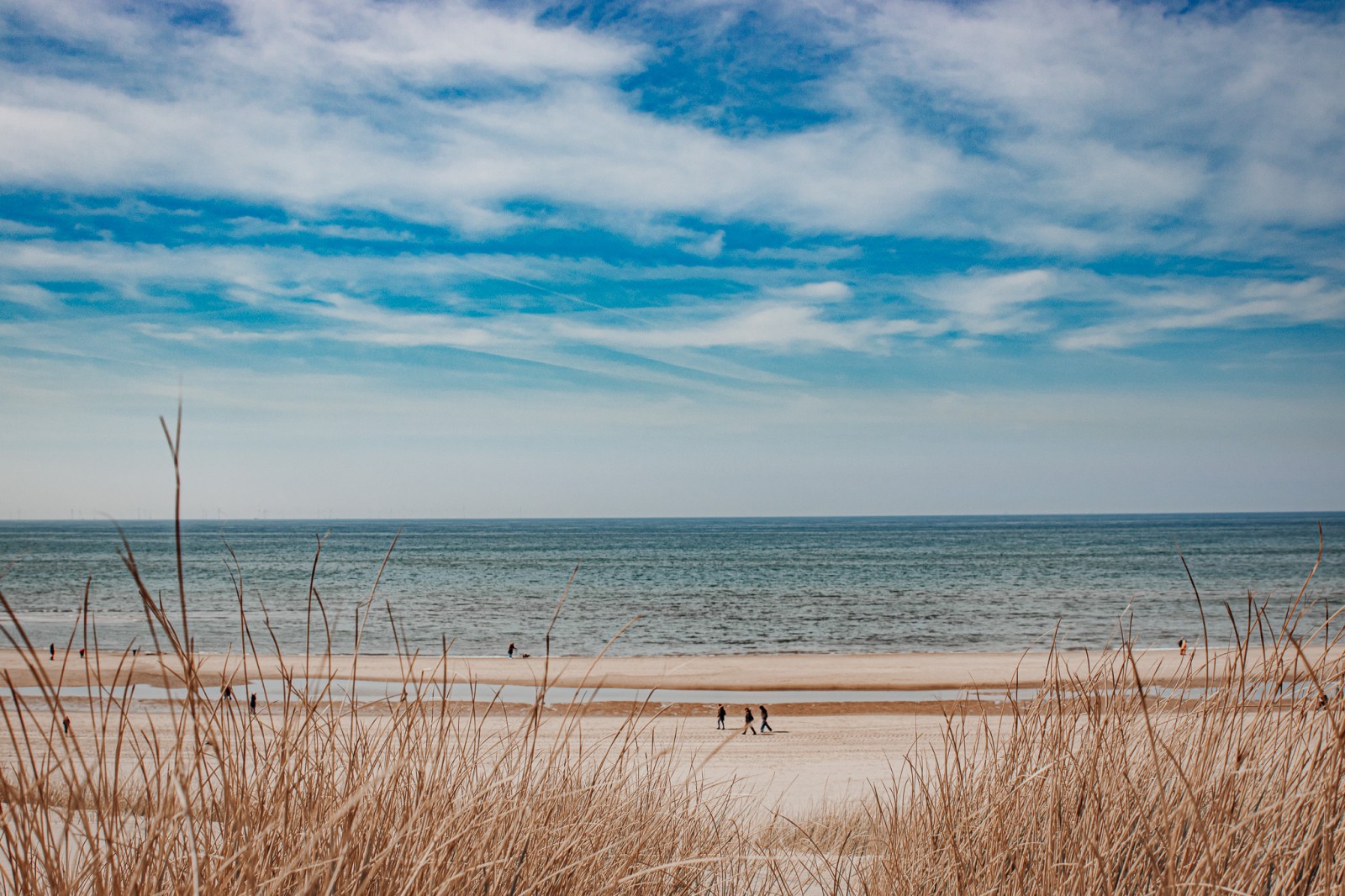 strand_voorjaar.jpg