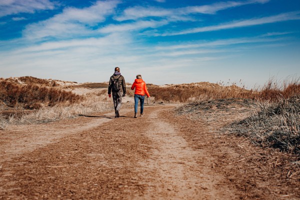 Duinen.jpg